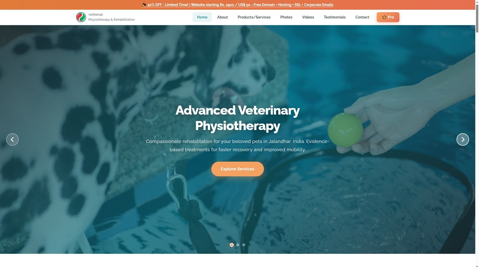 Veterinary Physiotherapy and Rehabilitation