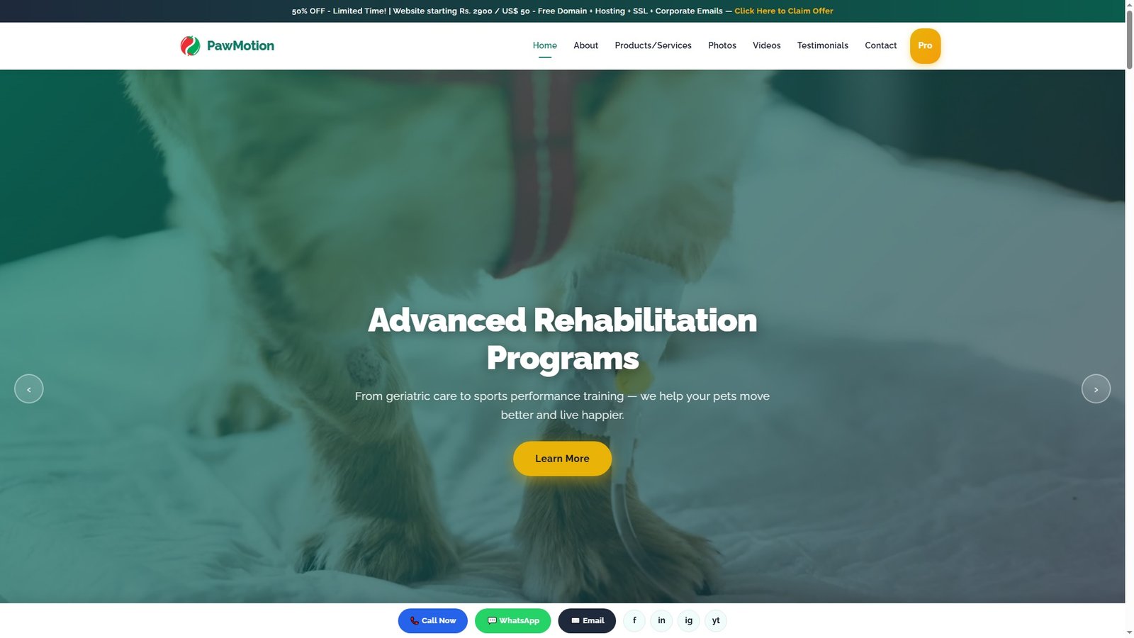 Veterinary Physiotherapy and Rehabilitation
