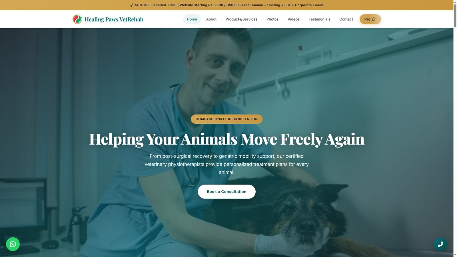 Veterinary Physiotherapy and Rehabilitation