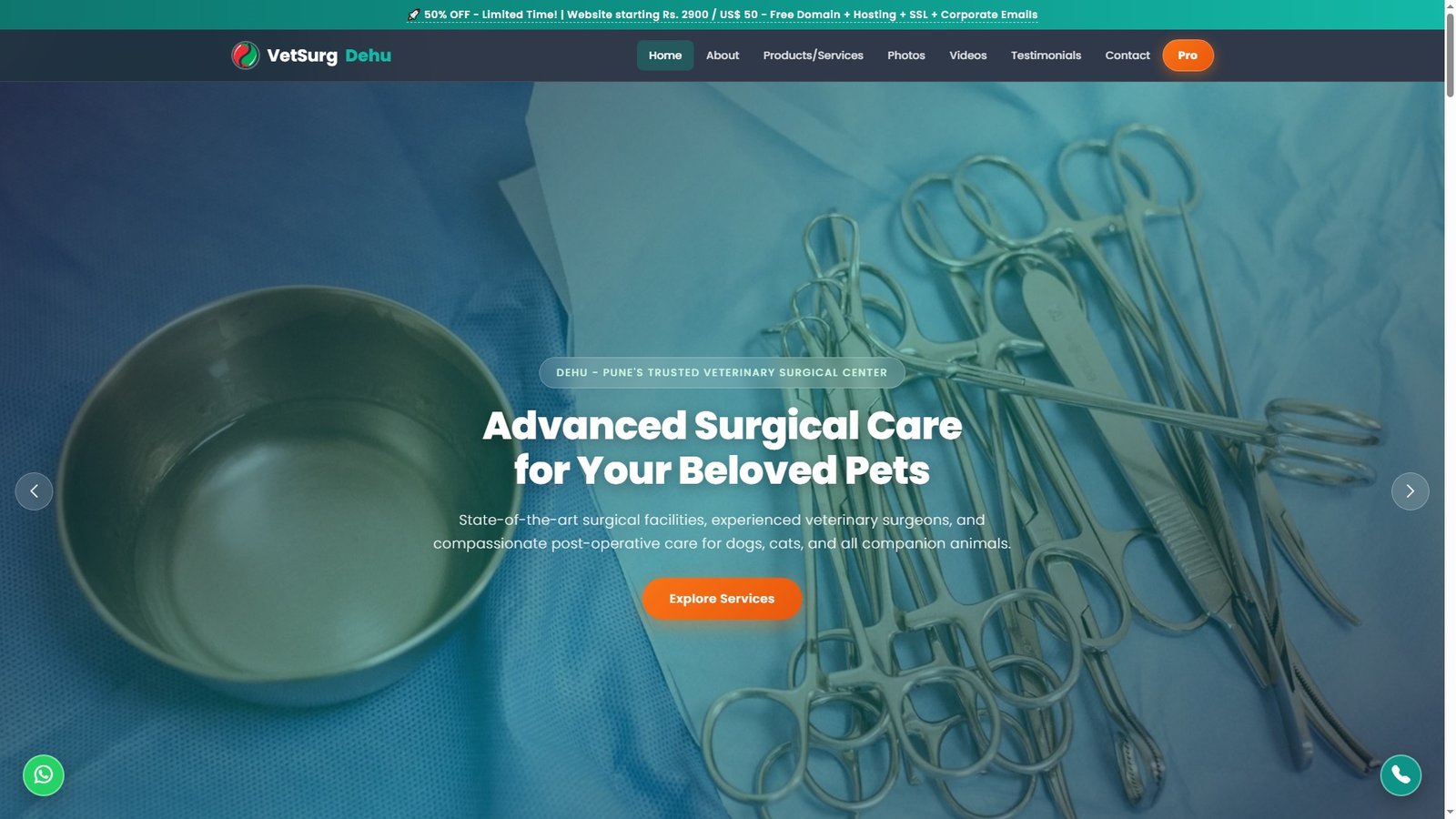 Veterinary Surgical Centers