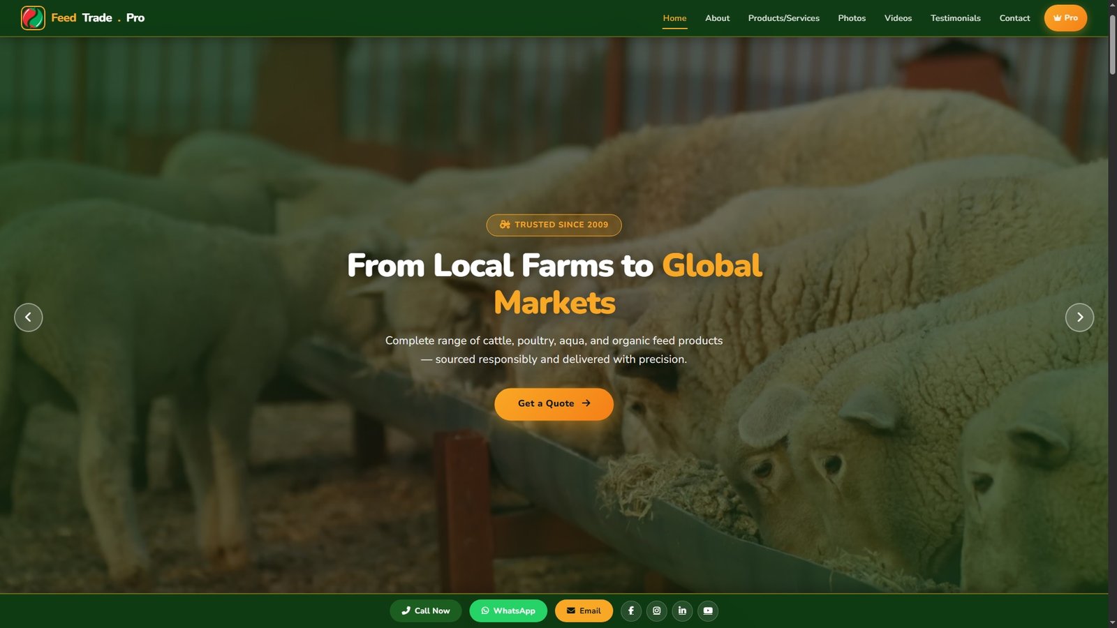Animal Feed Import Export