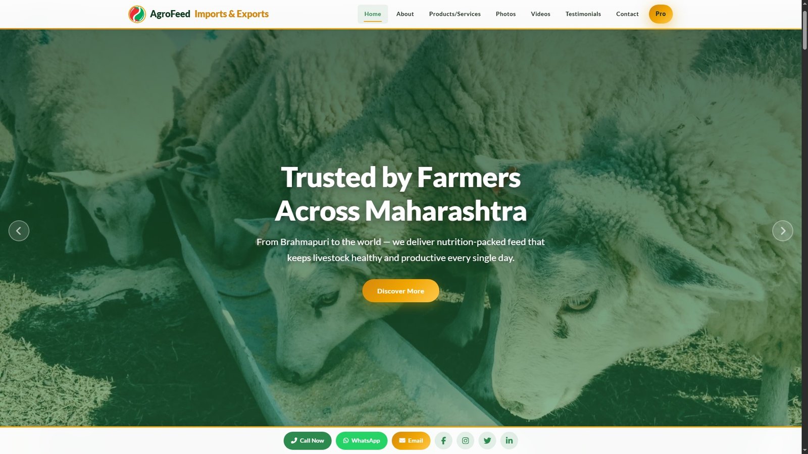 Animal Feed Import Export