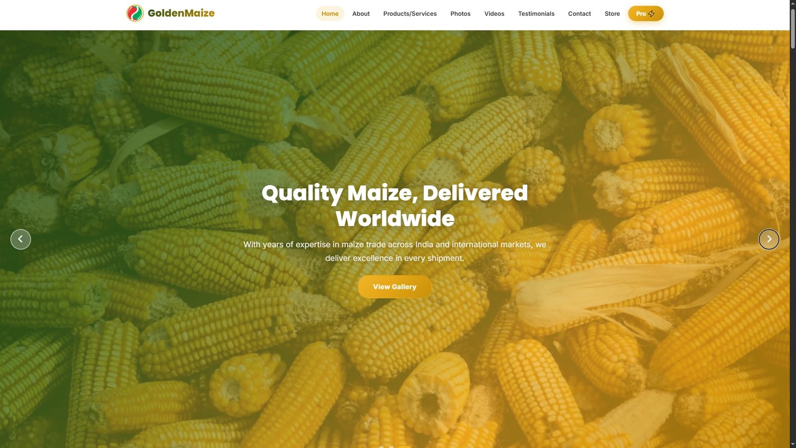 Maize Import Export