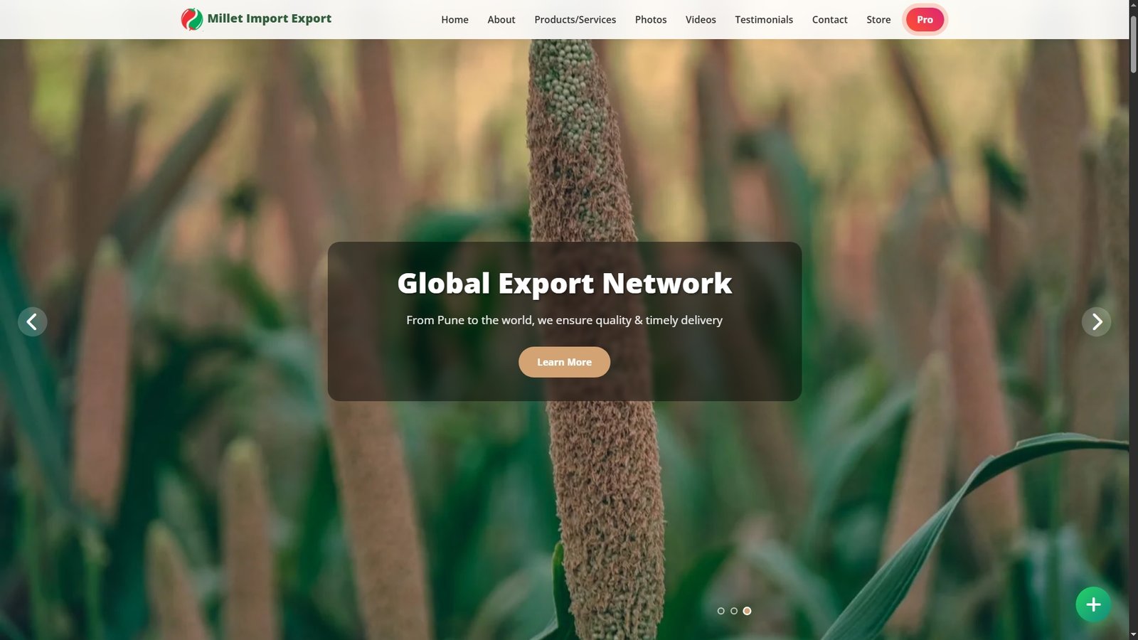 Millet Import Export