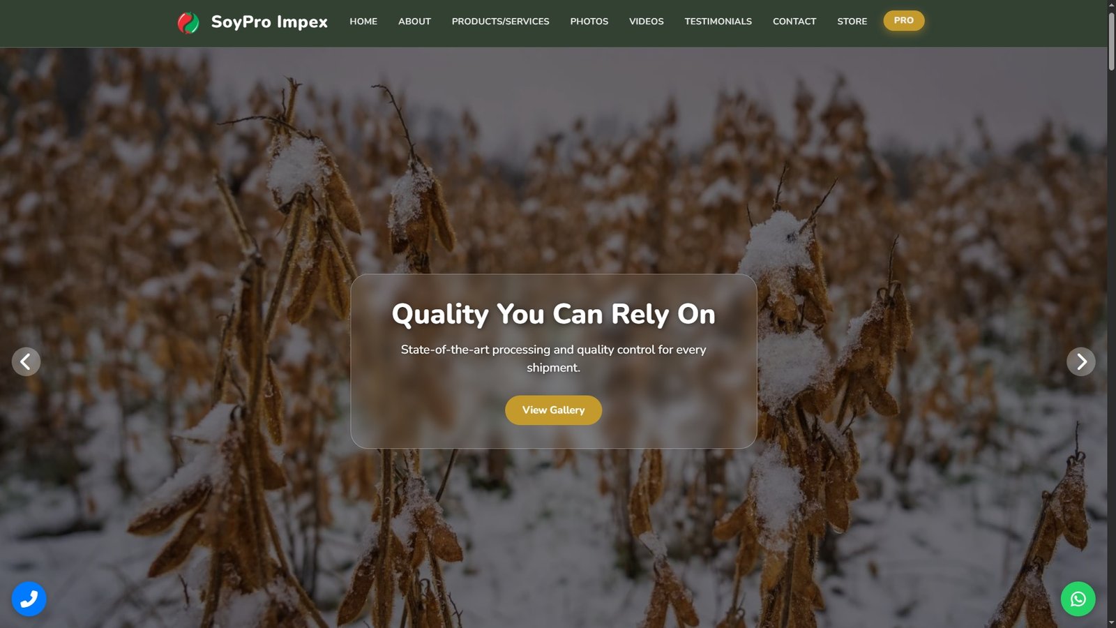 Soybeans Import Export
