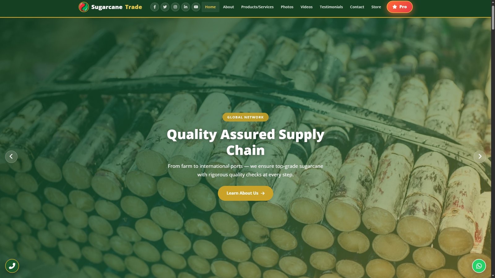 Sugarcane Import Export
