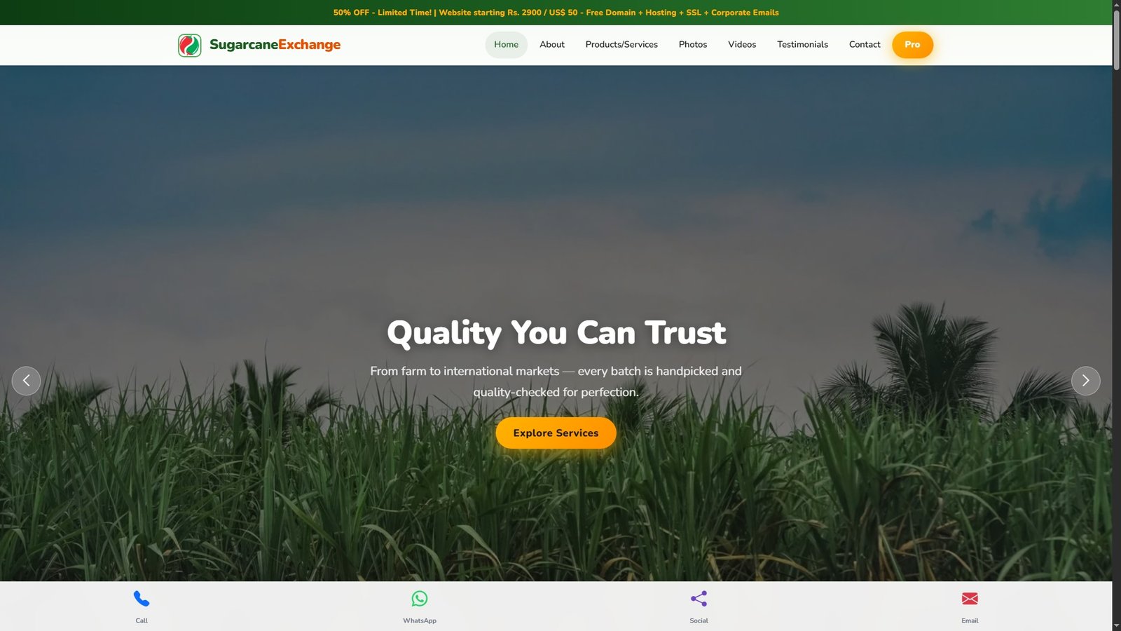 Sugarcane Import Export