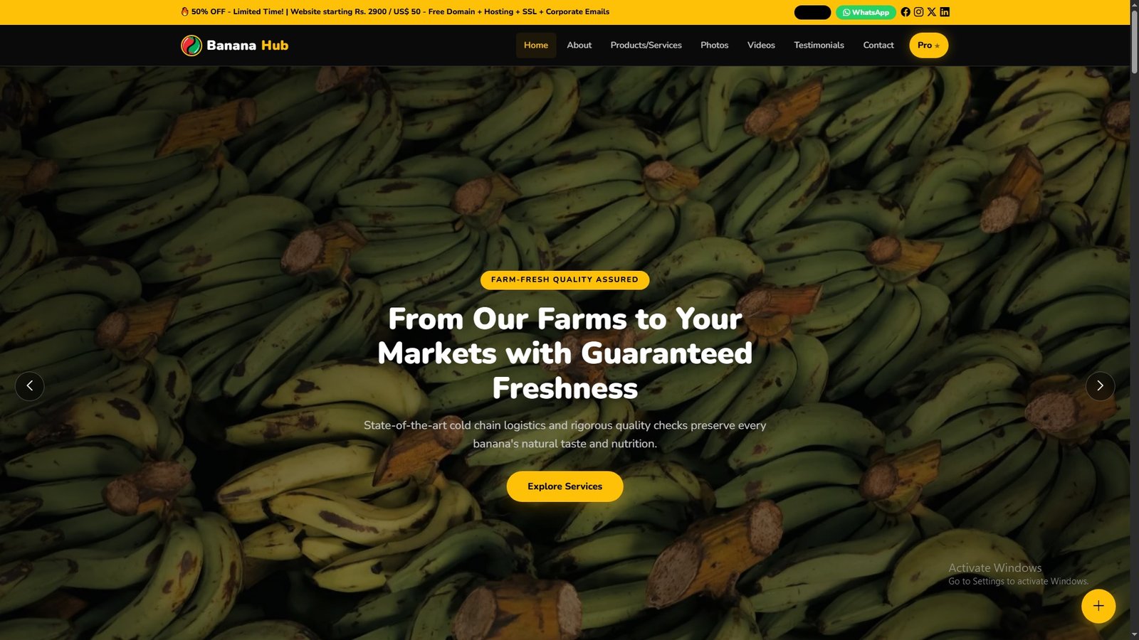 Bananas Import Export