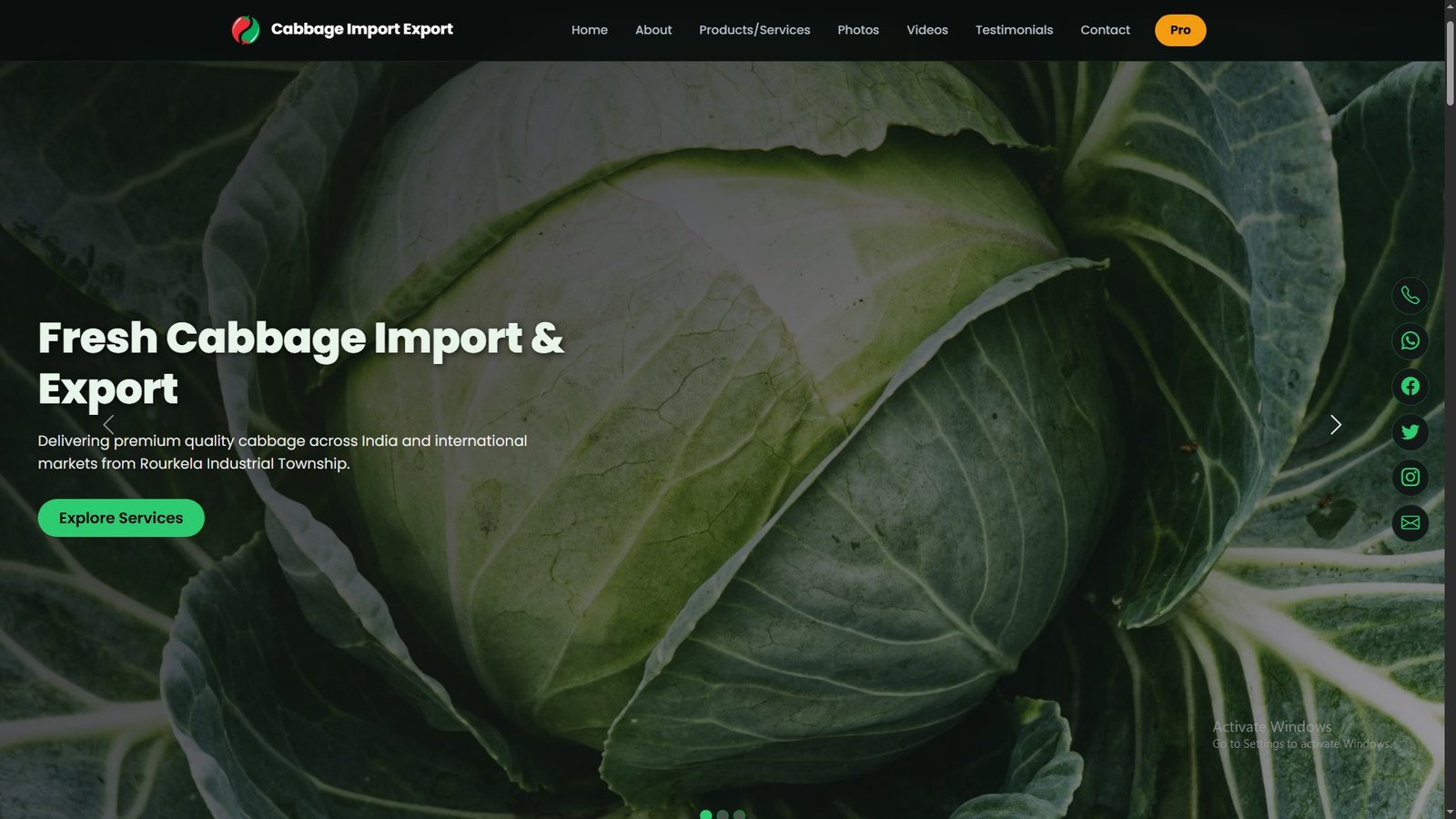Cabbage Import Export