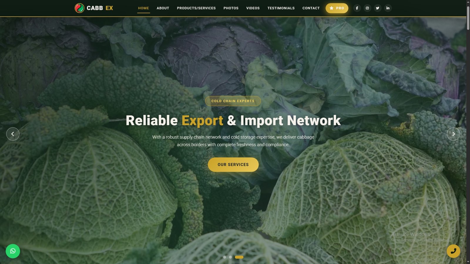 Cabbage Import Export