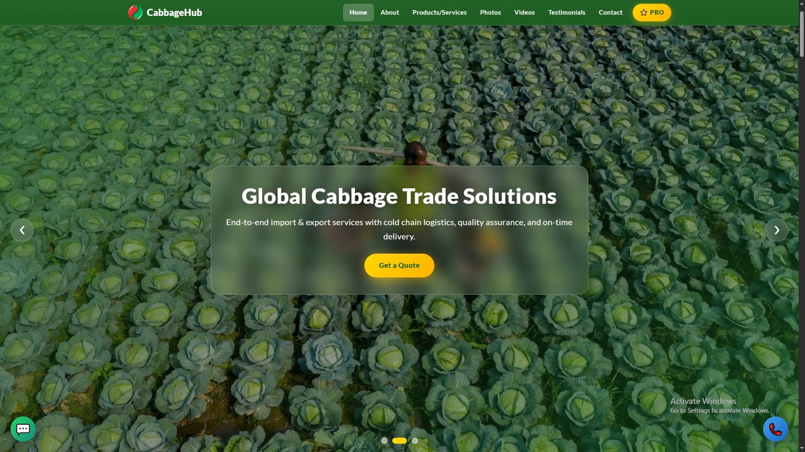 Cabbage Import Export