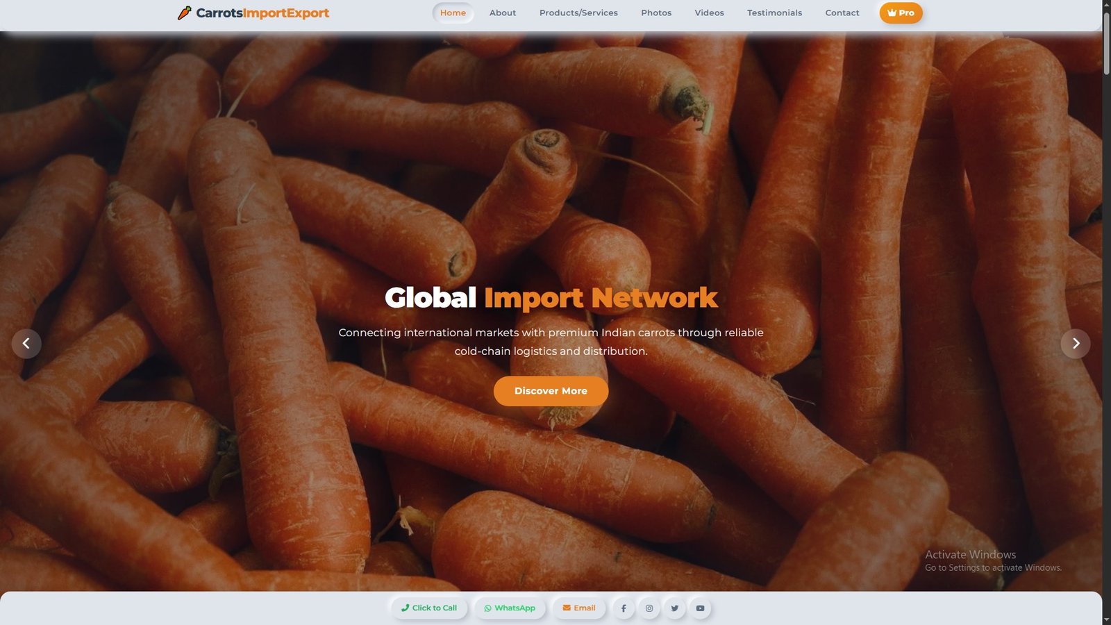 Carrots Import Export