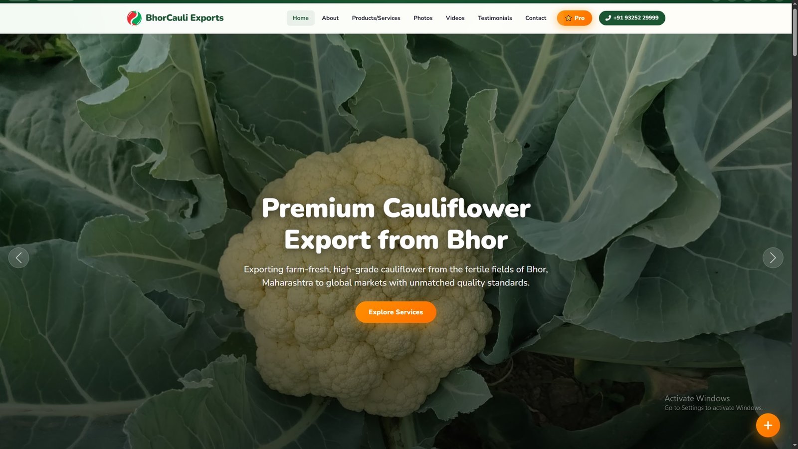 Cauliflower Import Export