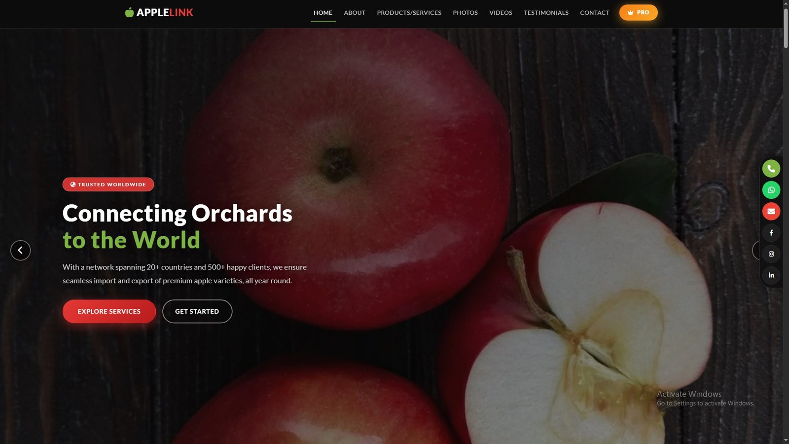 Apples Import Export