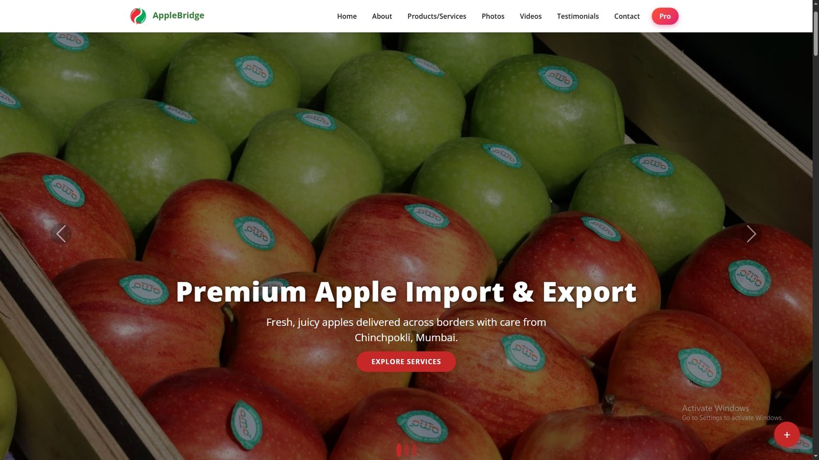 Apples Import Export