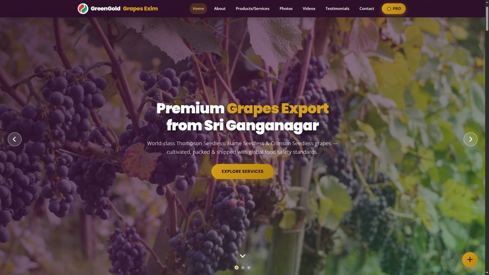 Fresh Grapes