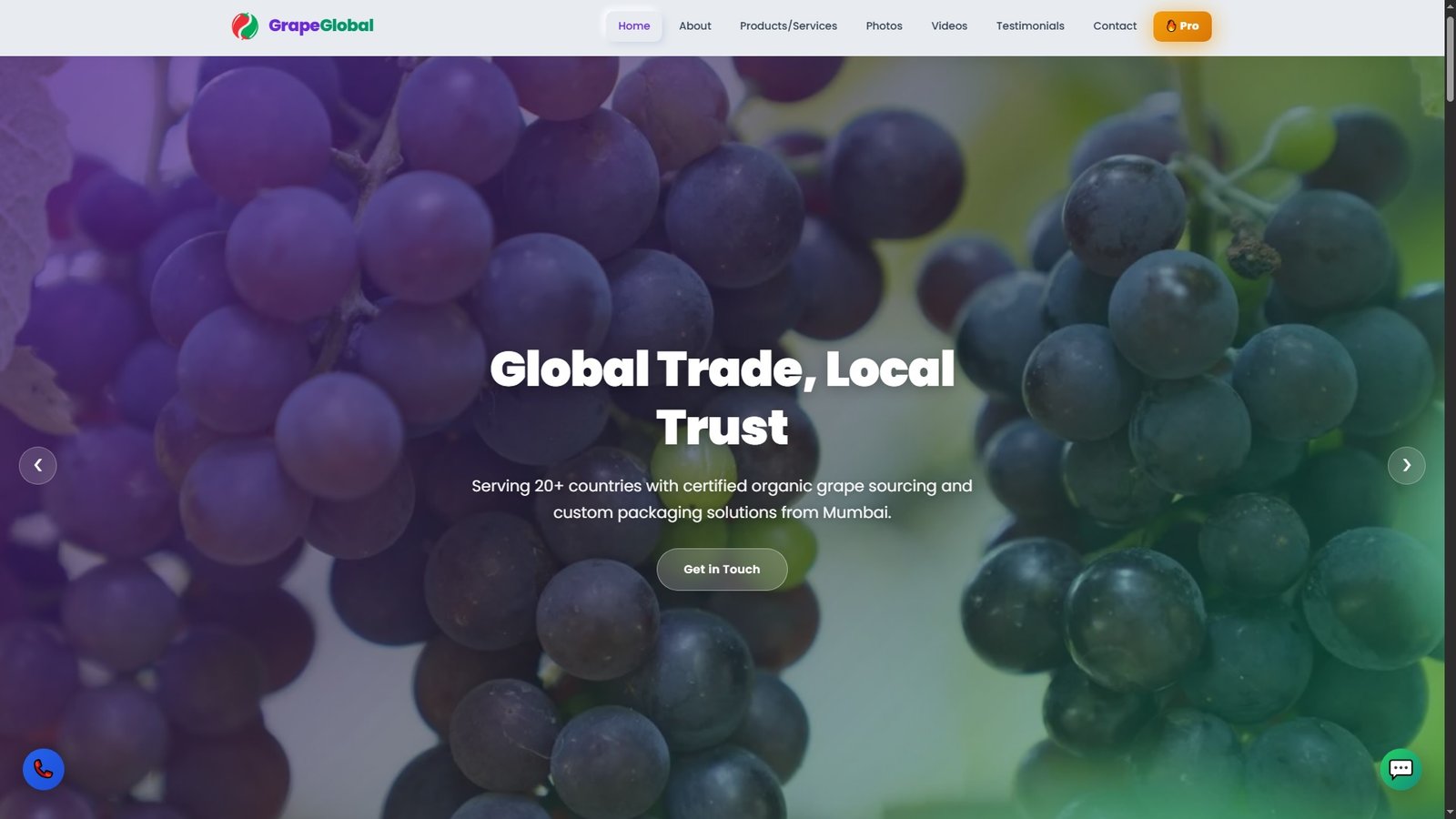Fresh Grapes