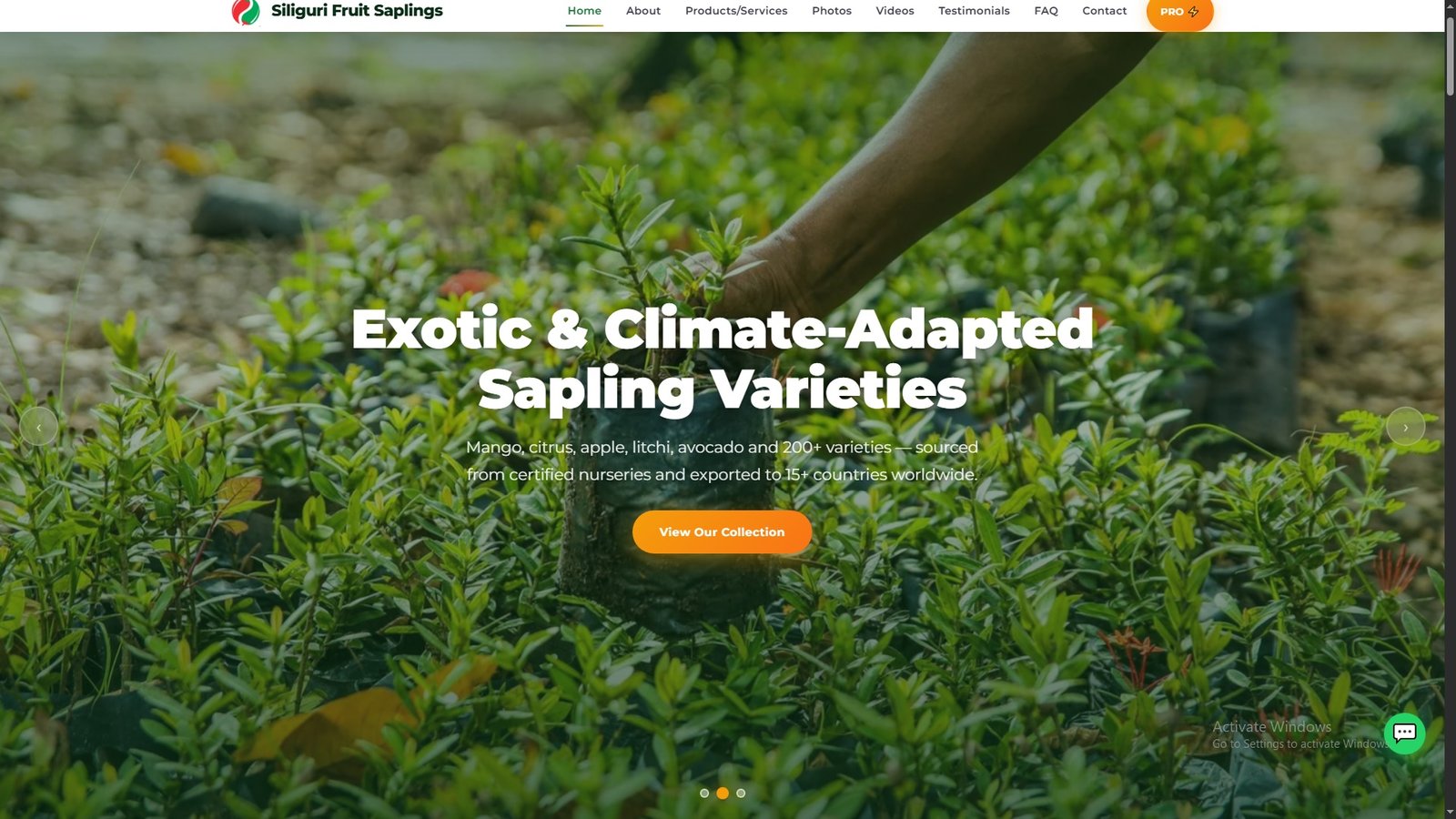Fruit Saplings Import Export
