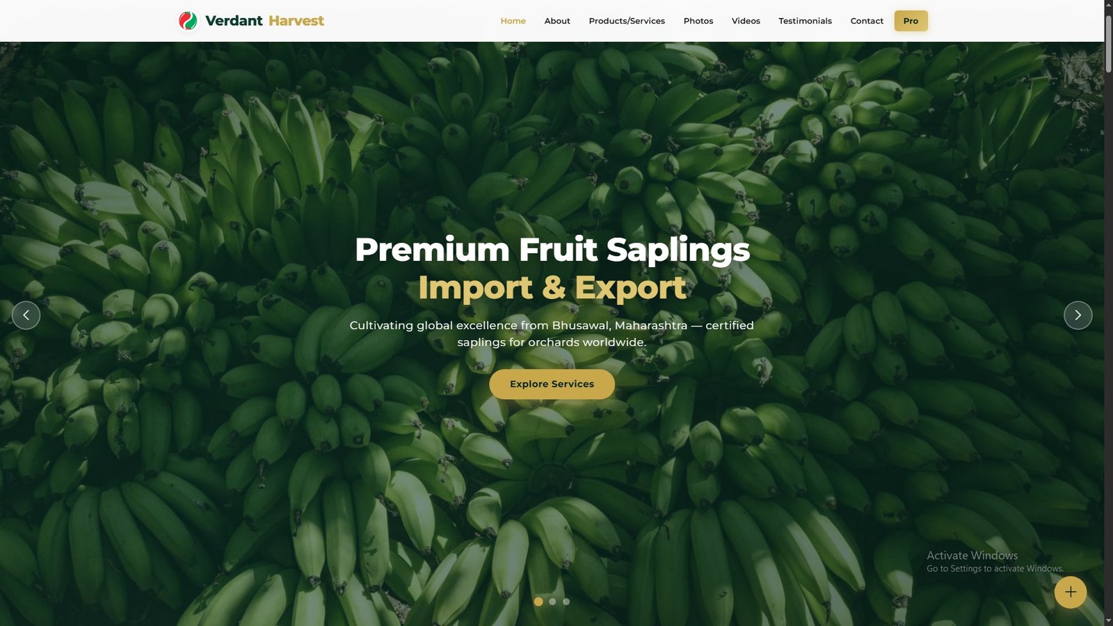 Fruit Saplings Import Export
