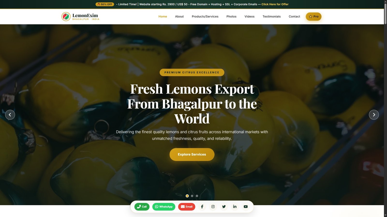 Lemons Import Export