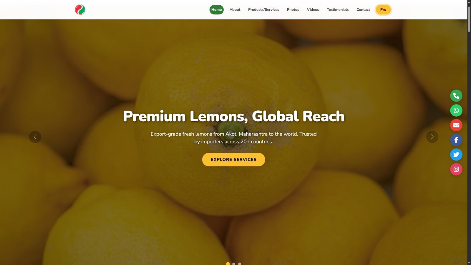 Lemons Import Export