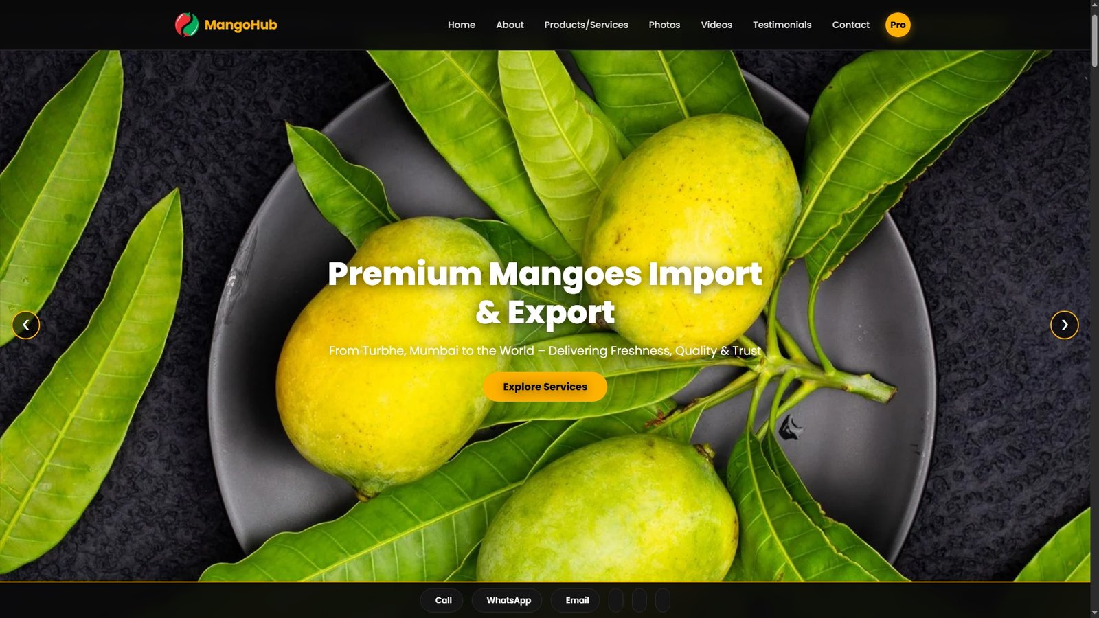 Mangoes Import Export