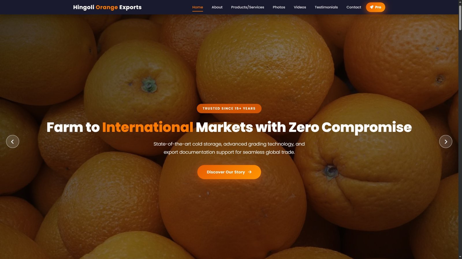 Oranges Import Export