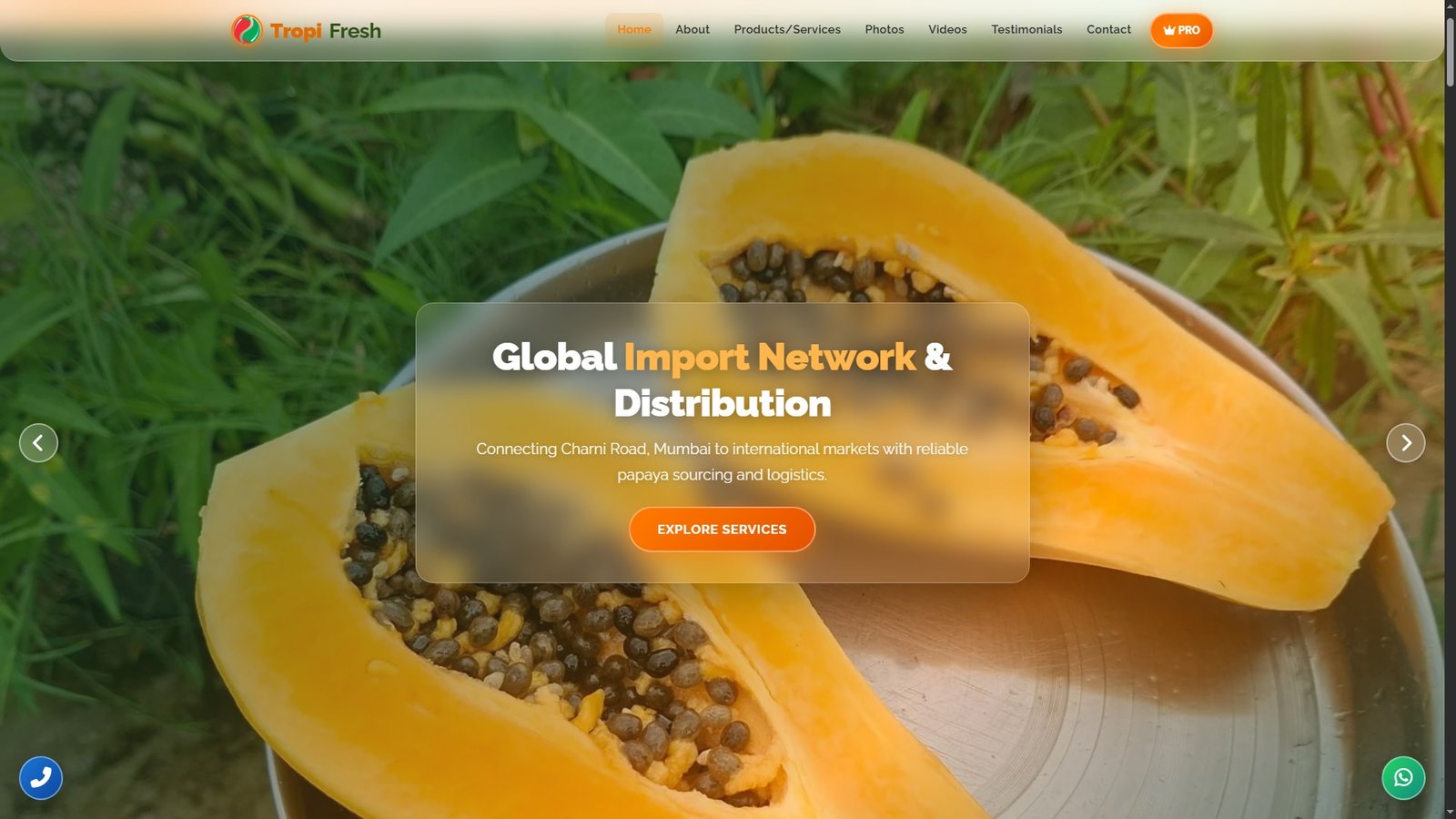 Papayas Import Export