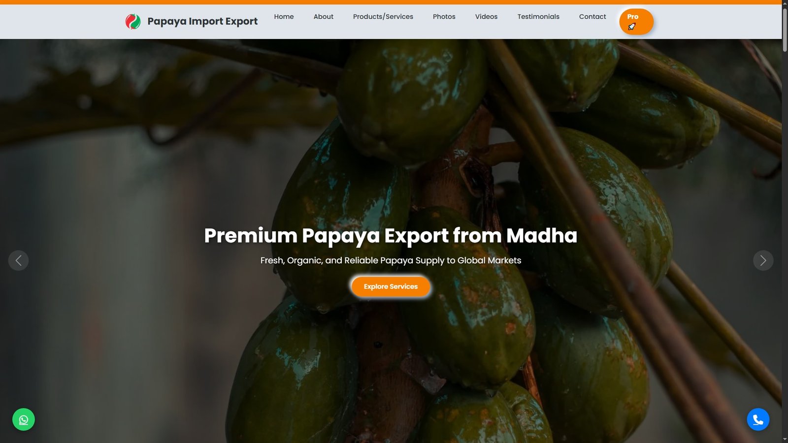 Papayas Import Export