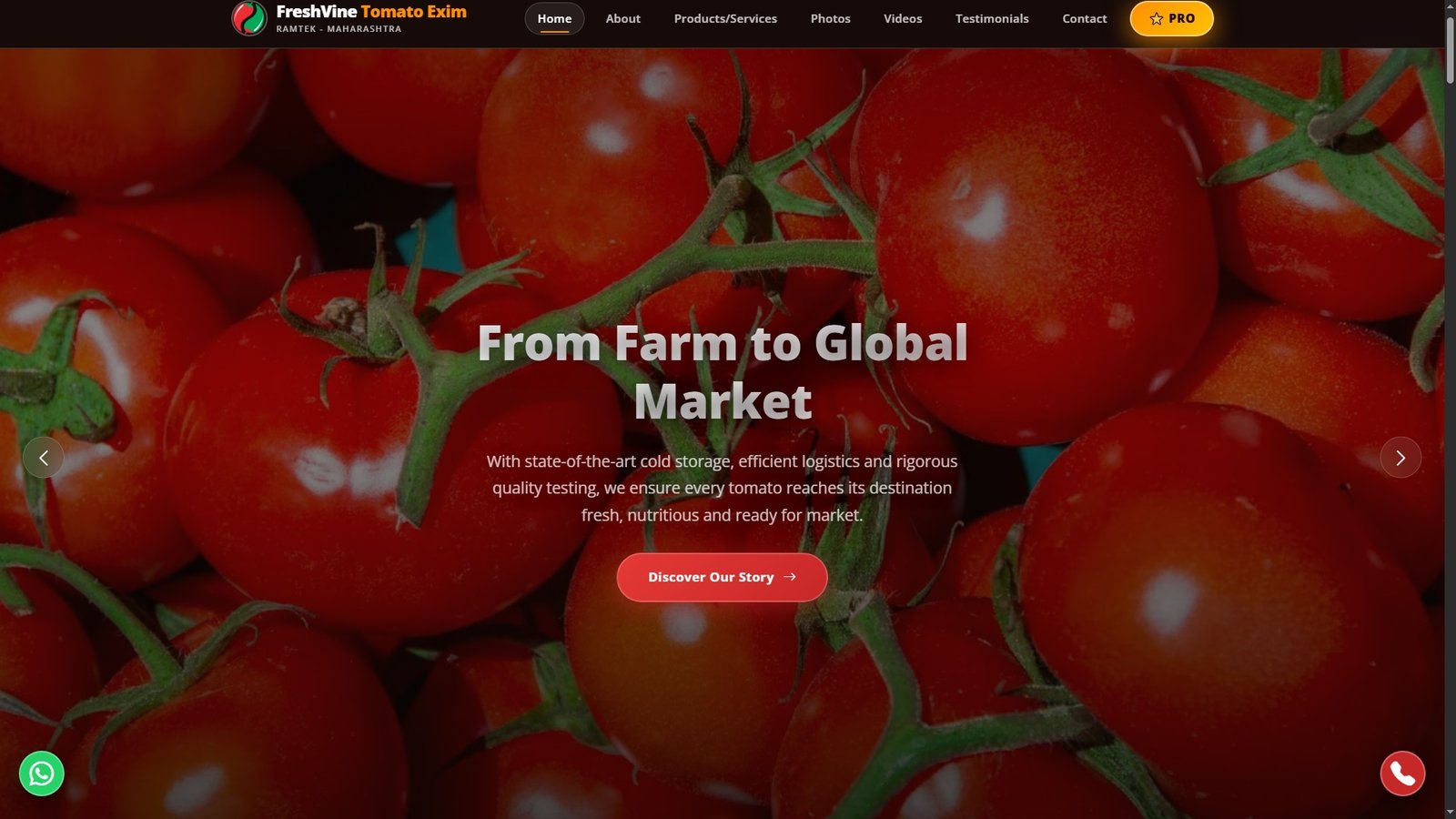 Tomatoes Import Export