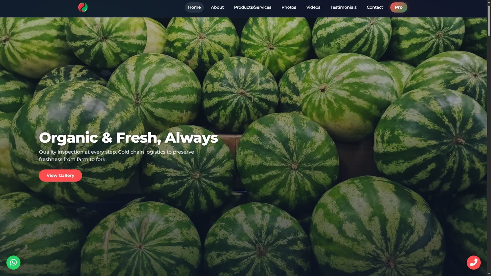 Watermelons Import Export