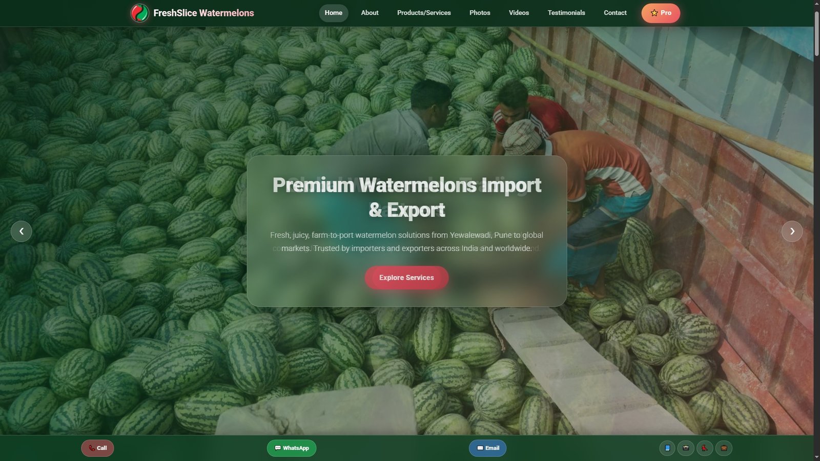Watermelons Import Export