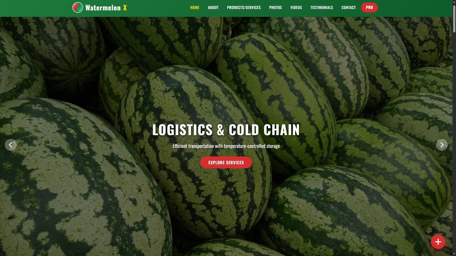 Watermelons Import Export