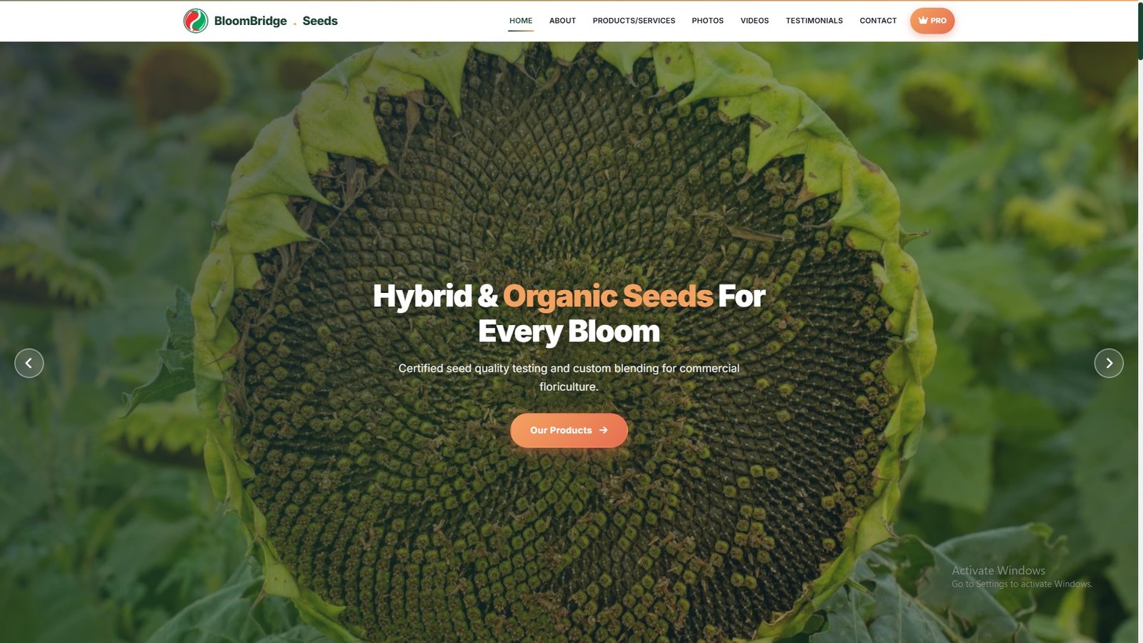 Flower Seeds Import Export