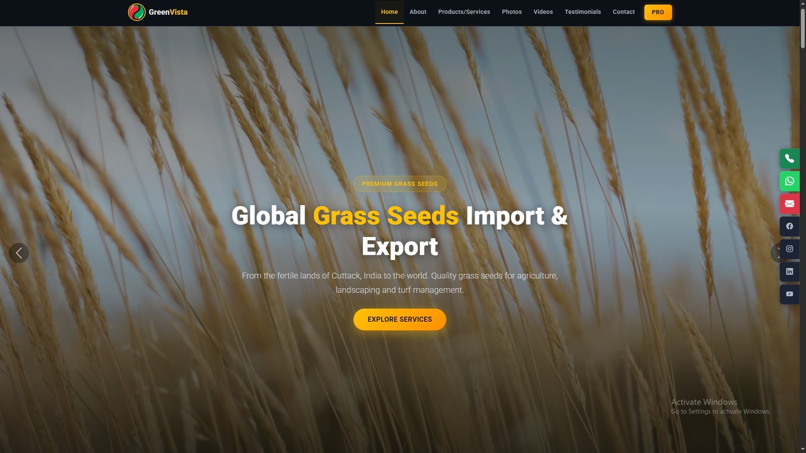 Grass Seeds Import Export