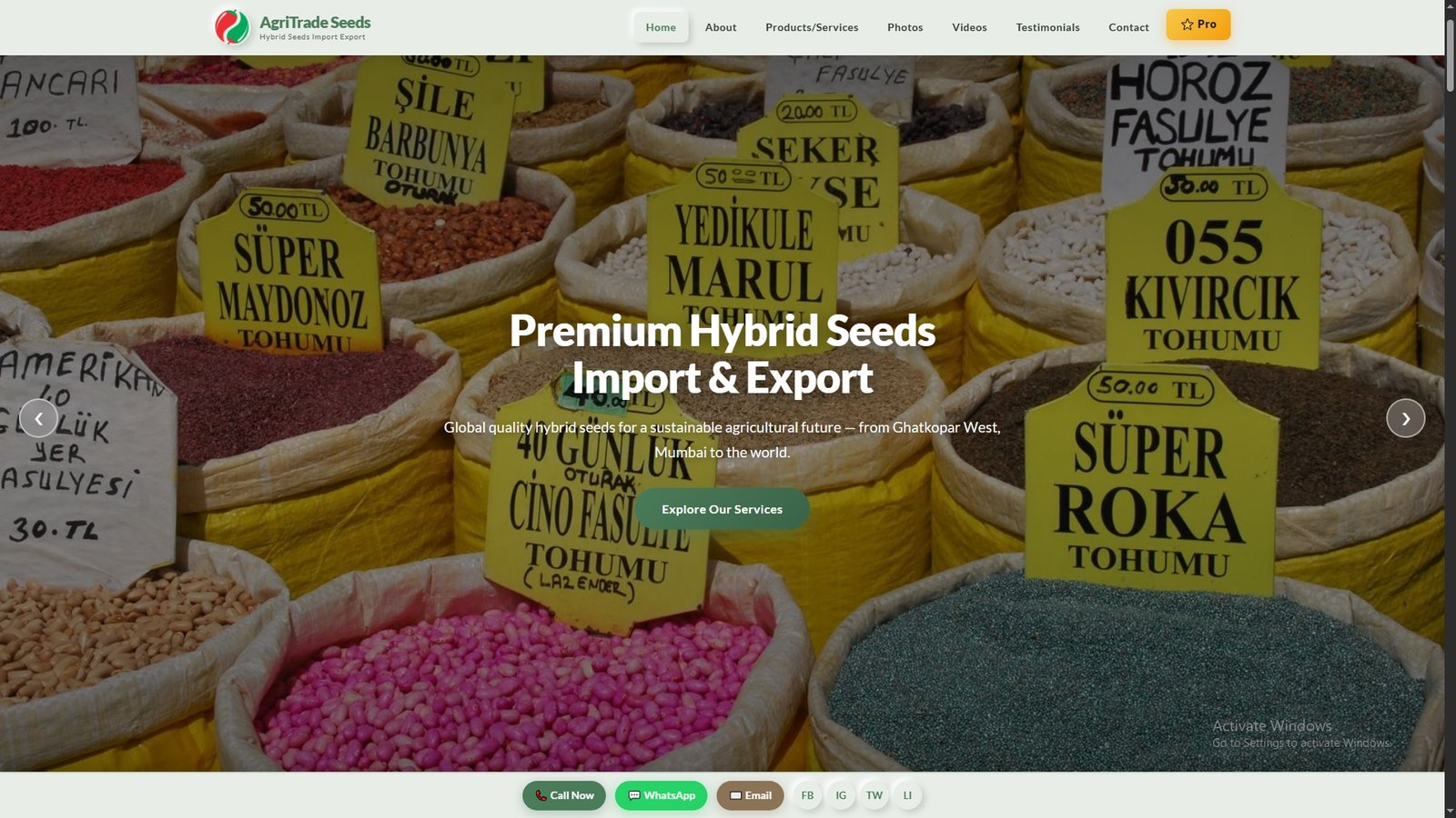 Hybrid Seeds Import Export