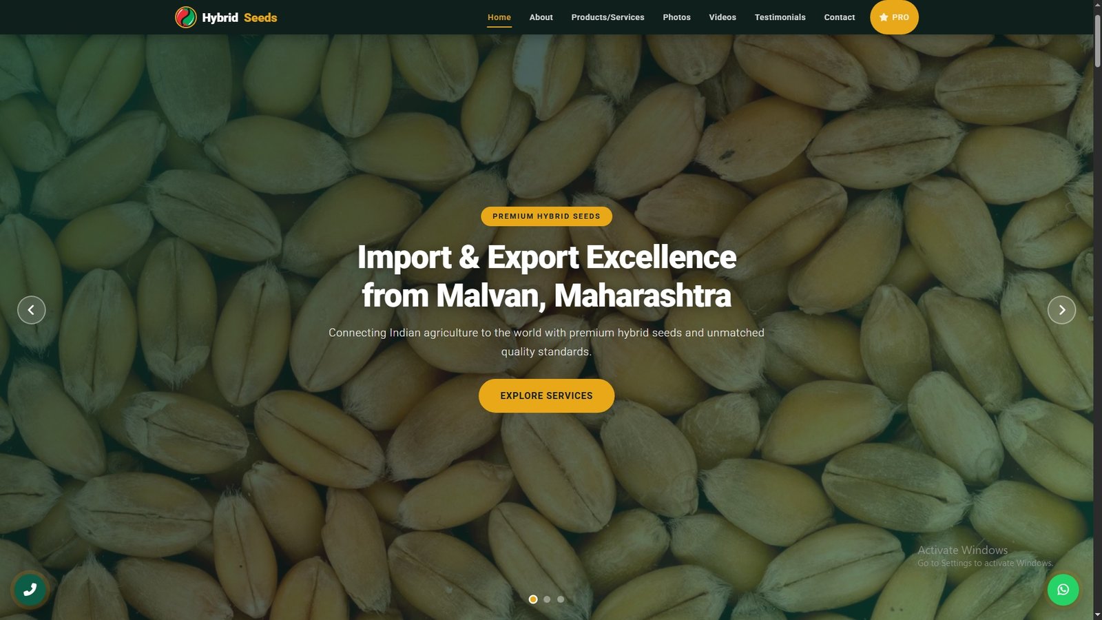 Hybrid Seeds Import Export