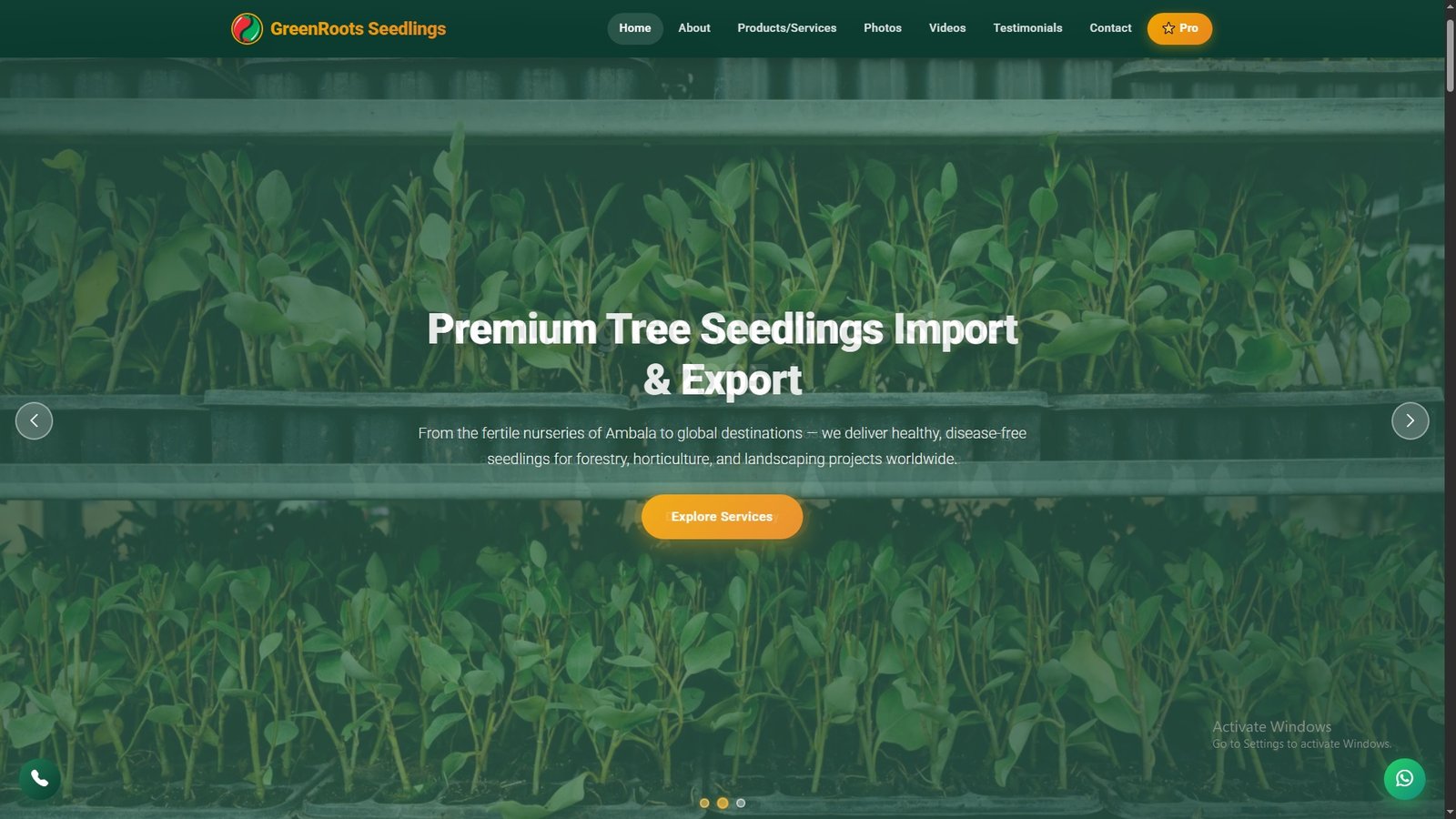 Tree Seedlings Import Export