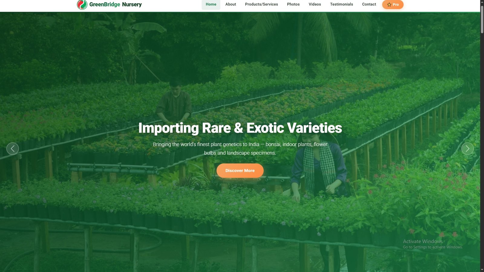 Nursery Plants Import Export