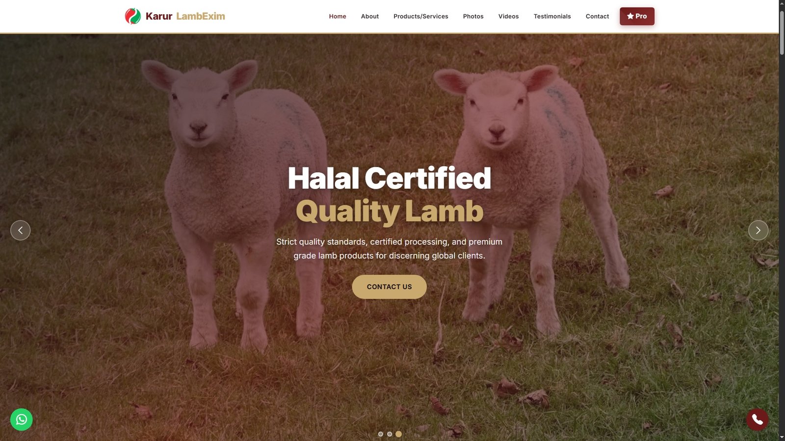 Lamb
