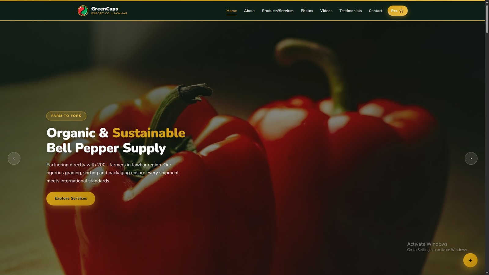 Bell Peppers Import Export